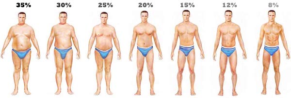 https://thefitspirationalblonde.files.wordpress.com/2013/06/body-fat-percentage-men.jpg