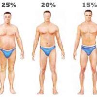 Calculate Your Body Fat Percentage