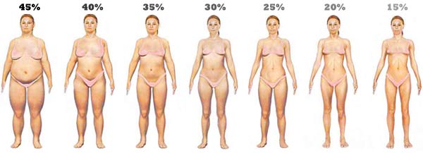 https://thefitspirationalblonde.files.wordpress.com/2013/06/body-fat-percentage.jpg